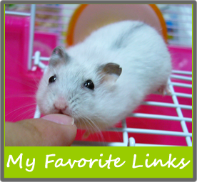 myfavoritelinks my favorite links