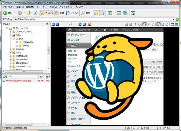 Pc漫画ビューア Leeyes の使い方 インストール 初期設定方法 Zip Rar Jpg Enjoypclife Net