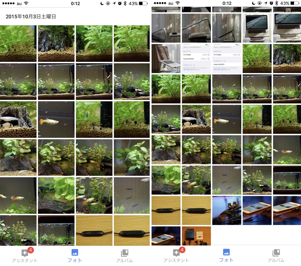 Googleフォト の便利な使い方を徹底解説 写真 動画の管理 編集 共有 削除方法など Enjoypclife Net