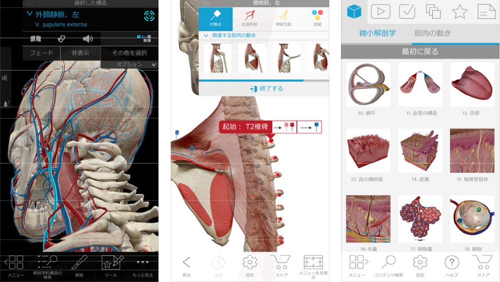 96％オフ！3D人体模型「ヒューマン・アナトミー・アトラス2018エディション」が再びセールで120円にて販売中！医療従事者や医学生、教授も急げ！
