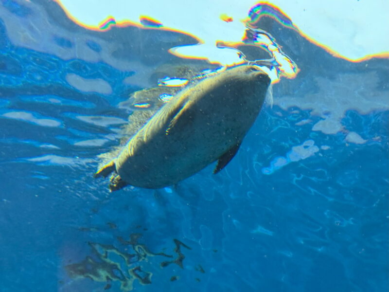 須磨水族館の写真