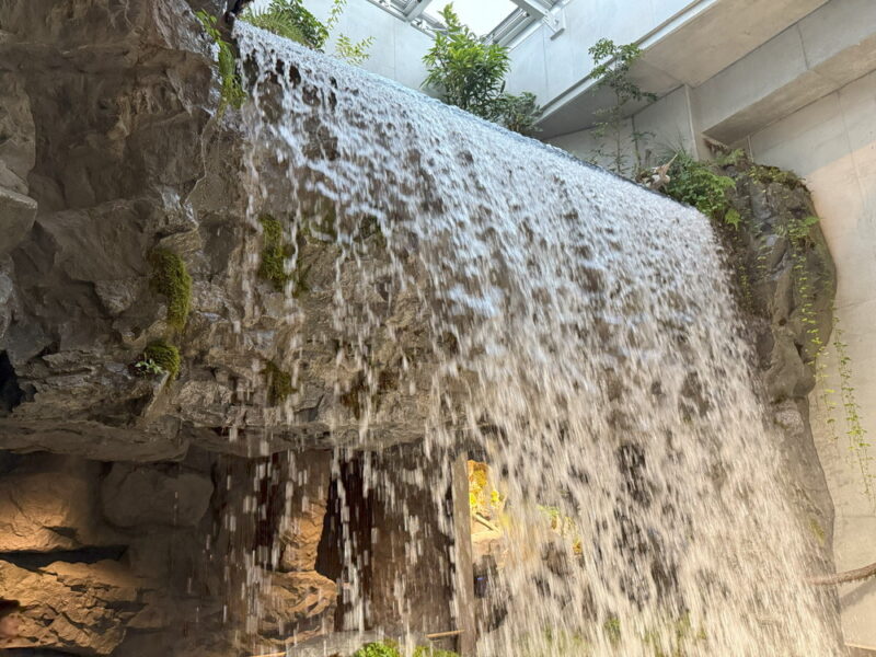 須磨水族館の写真