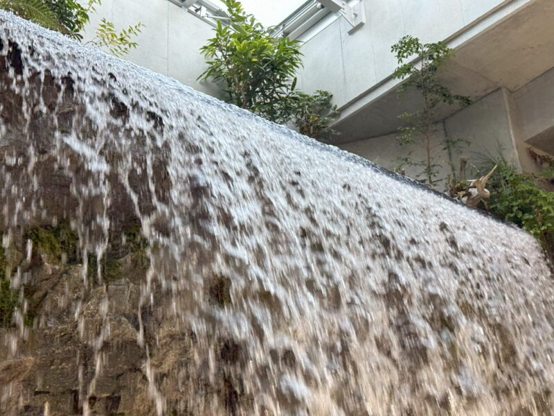 須磨水族館の写真