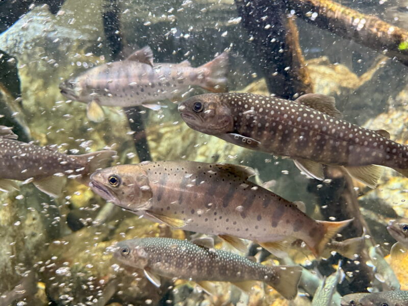 須磨水族館の写真