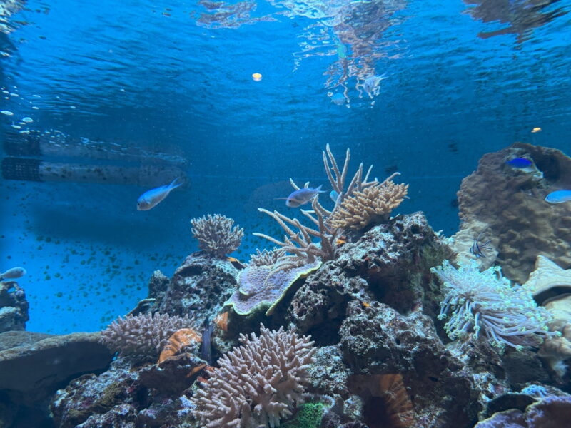 須磨水族館の写真