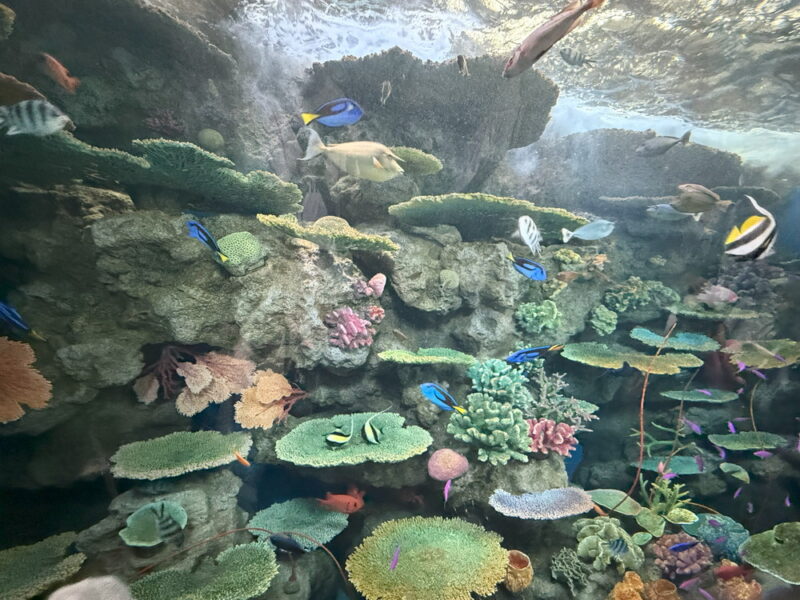 須磨水族館の写真