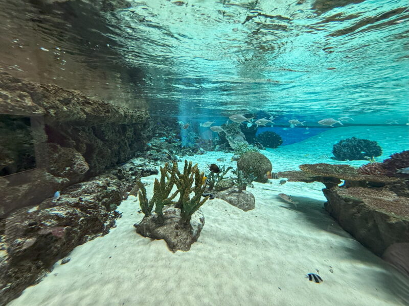 須磨水族館の写真